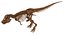 Esqueleto de Tiranosaurio Rex 01 a