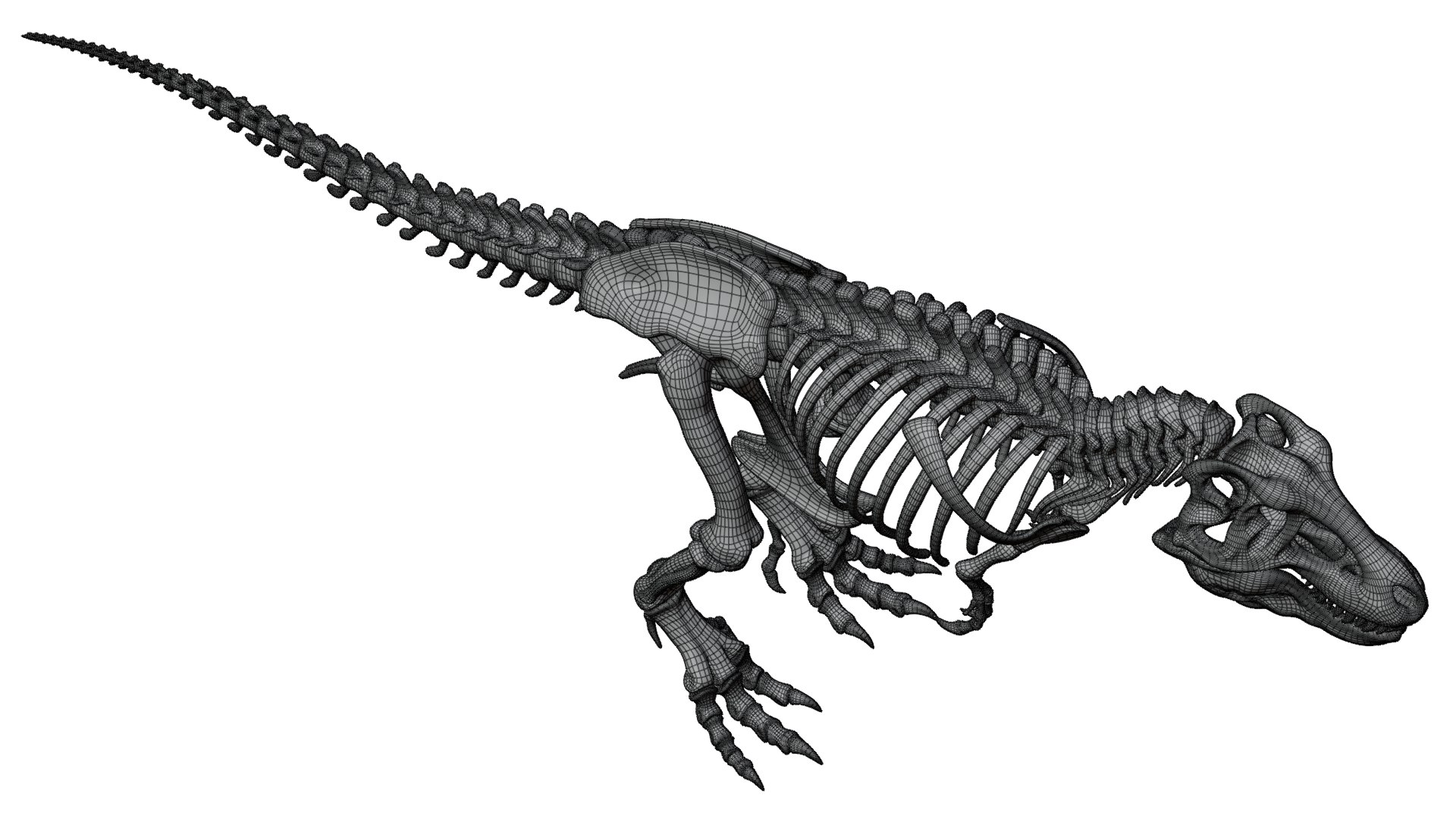 3D Tyrannosaurus Rex Skeleton 01 a https://p.turbosquid.com/ts-thumb/9O/jdufR8/lb/tyrannosaurusrexskeleton_01_wire_02/png/1770529254/1920x1080/fit_q87/a303da06662205cde7c81bc91f044a396c4f8aa6/tyrannosaurusrexskeleton_01_wire_02.jpg