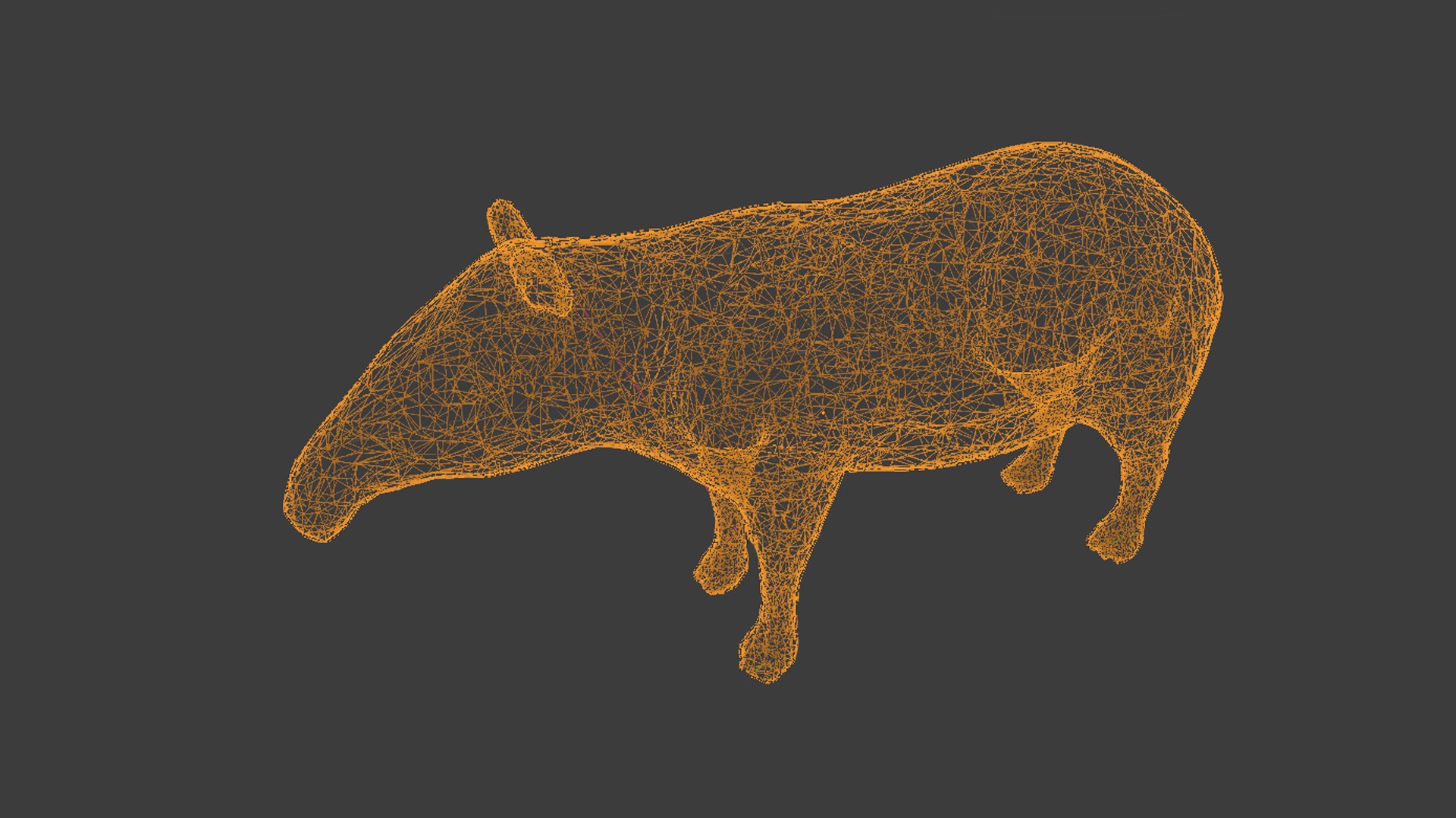 Tapir 3D Model - TurboSquid 2268420