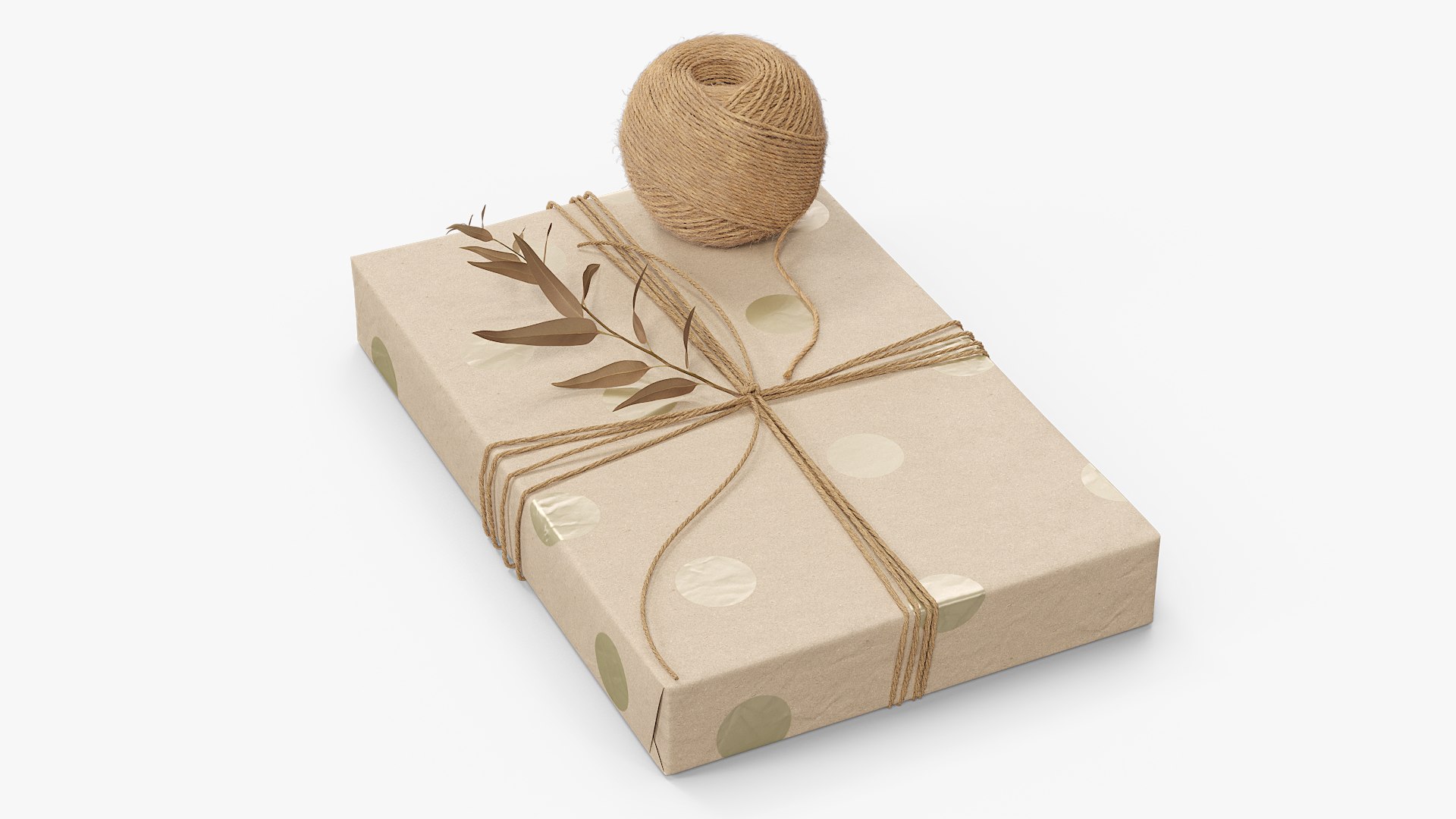 Gift Box Wrapped Jute Twine with Decorative Twig 3D model preview