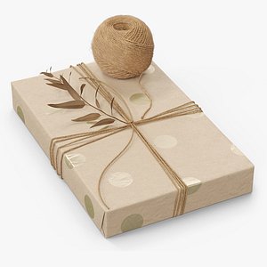 3D model Gift Box Wrapped Jute Twine with Decorative Twig