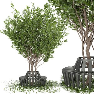 Collection plant vol 106 - tree 3D model