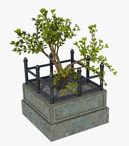 Free Street Plant