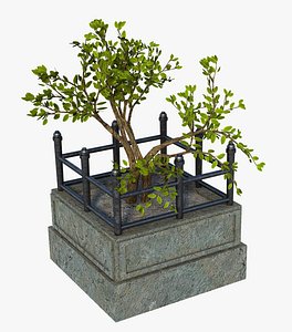 Free Street Plant