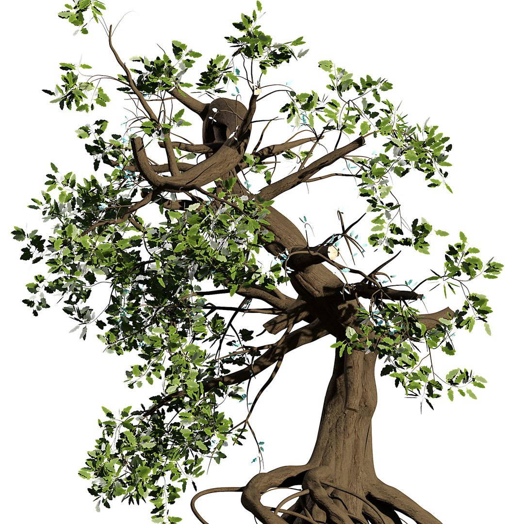 3D Spooky Haunted trees 3D Model model https://p.turbosquid.com/ts-thumb/9P/46uwvX/8P/z024/jpg/1693439661/1920x1080/fit_q87/cb4cef143486edff722331b9650156af14e51c86/z024.jpg