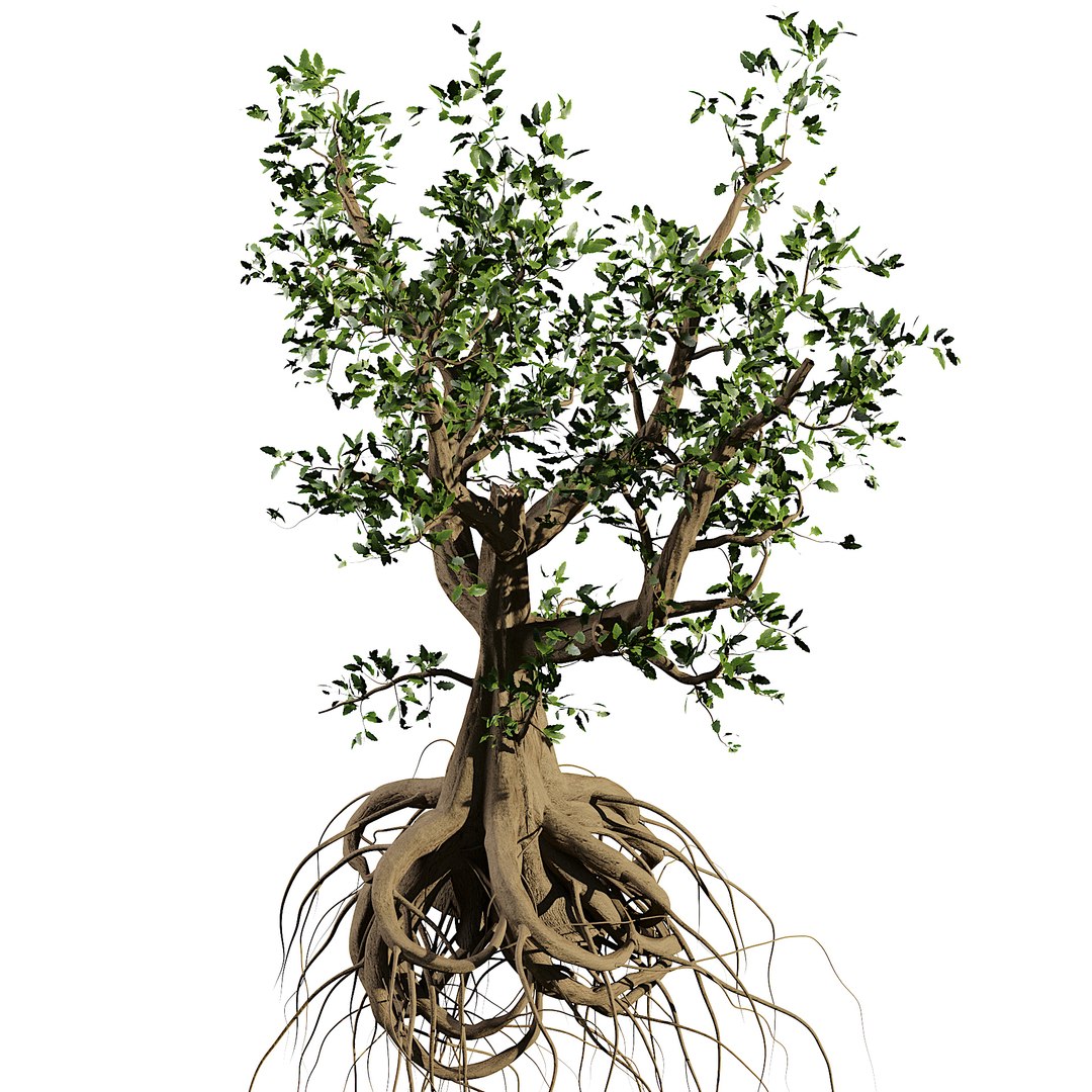 3D Spooky Haunted trees 3D Model model https://p.turbosquid.com/ts-thumb/9P/46uwvX/nl/z043/jpg/1693439667/1920x1080/fit_q87/fcc022d362b04cde3329d40b47a5aa6e4f1f4298/z043.jpg