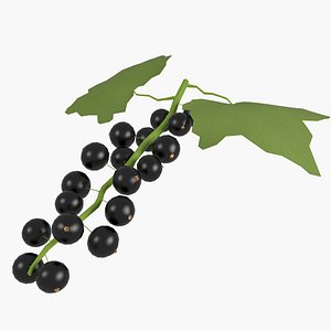Currant