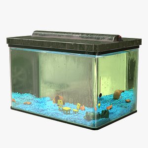 simple cartoon aquarium animation 3D model
