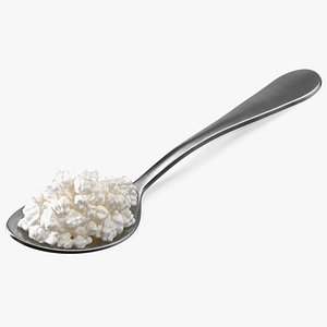 Cottage Cheese Metal Spoon model