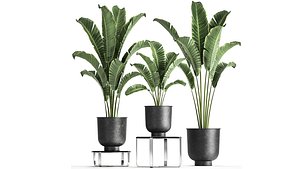 3D plants interior pots planter