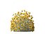 Santolina chamaecyparissus - Algodón Lavanda