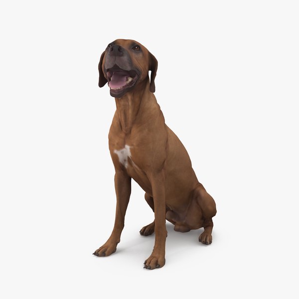 dog ridgeback 3D