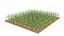 Corn 3D model
