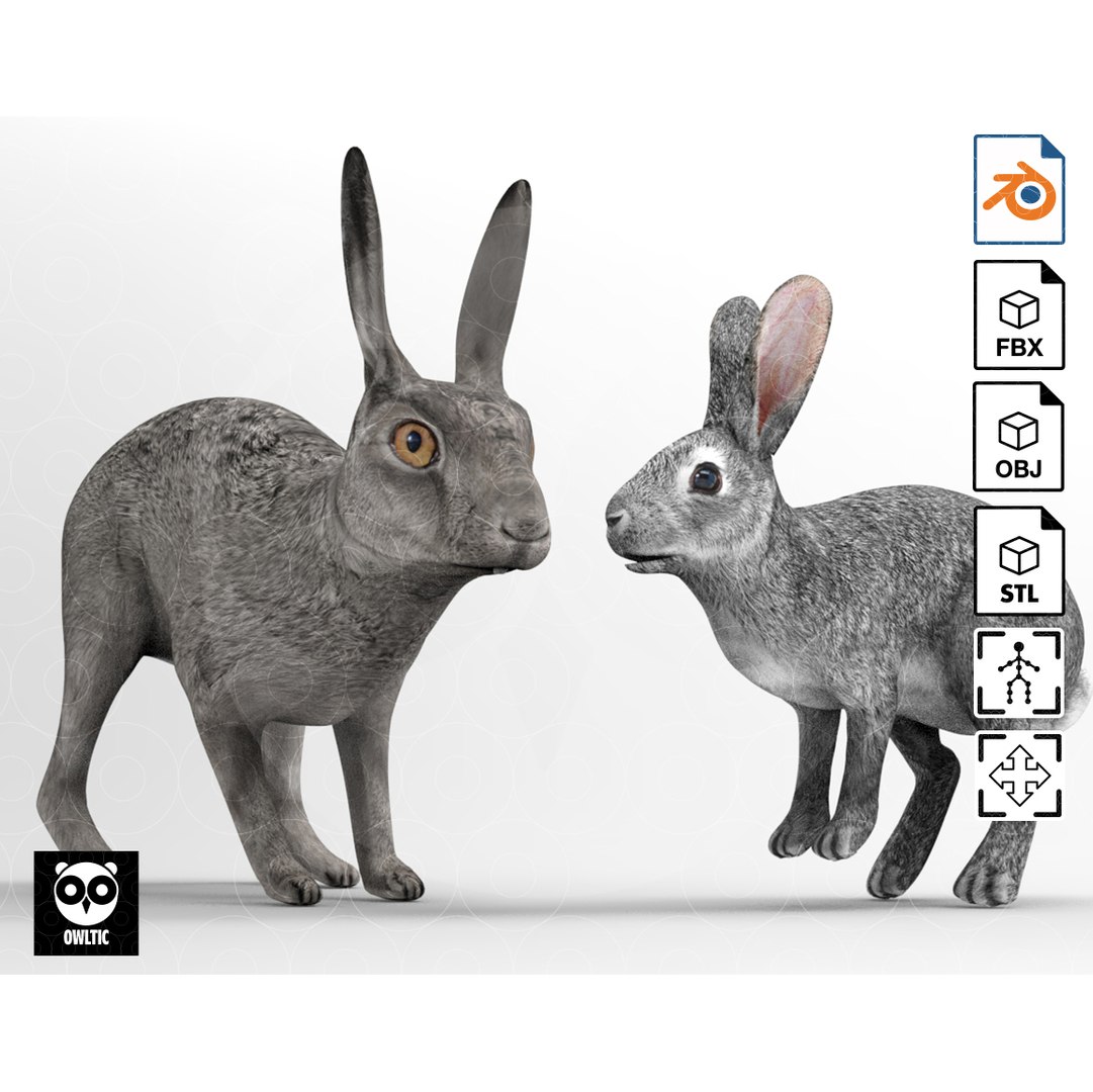 토끼 - 애니메이션 3D 모델 - TurboSquid 2110176