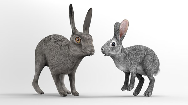 Hare - Animated Modelo 3D - TurboSquid 2110176