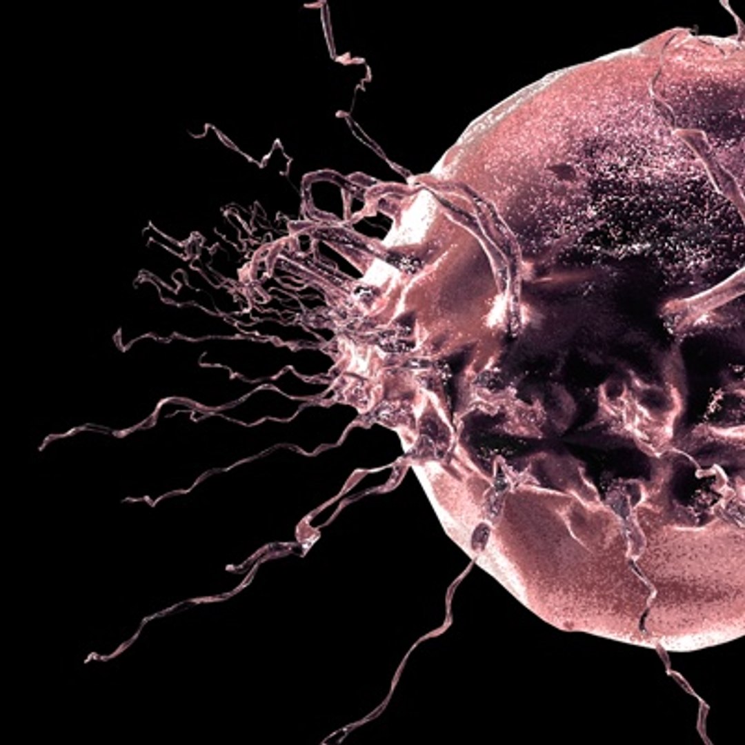 Breast Cancer Cell 3d C4d