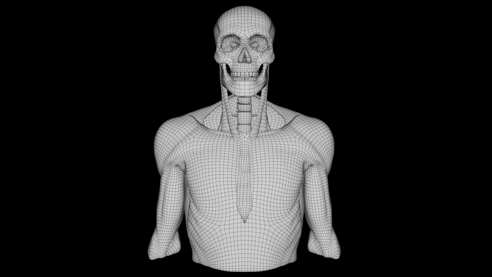 3D Human Anatomy-THORAX - TurboSquid 2230044