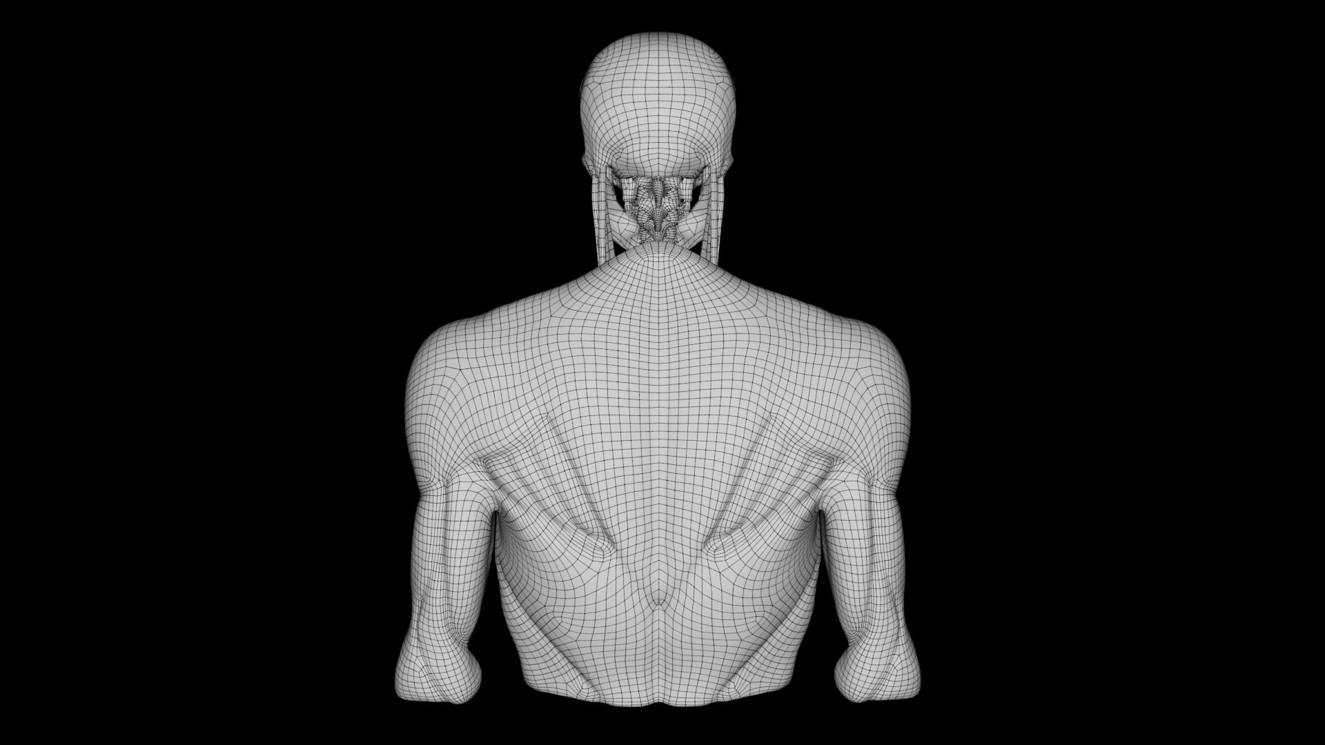 3D Human Anatomy-THORAX - TurboSquid 2230044