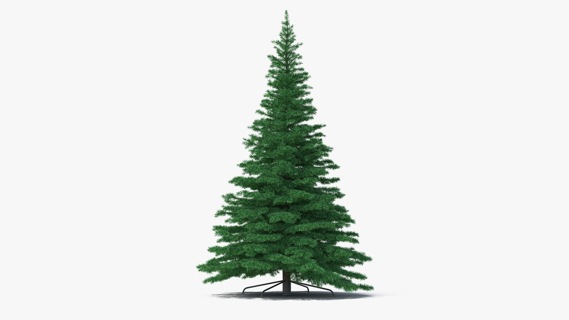 Woodland Pine 3D model preview