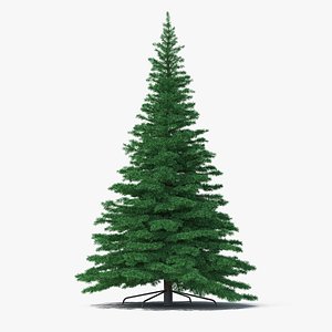 3D woodland pine