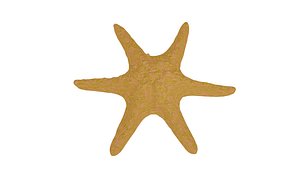 starfish 3D