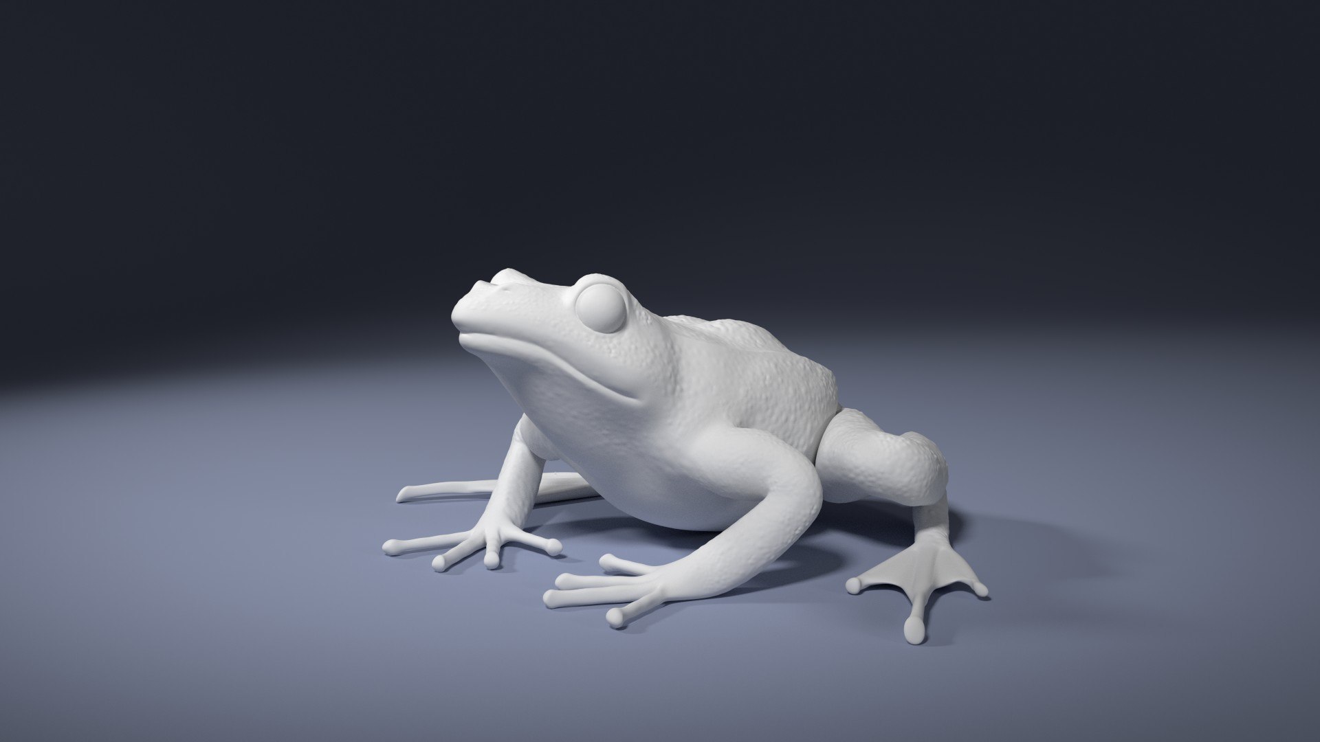 modelo 3d Rana - Rana Temporaria - TurboSquid 955420