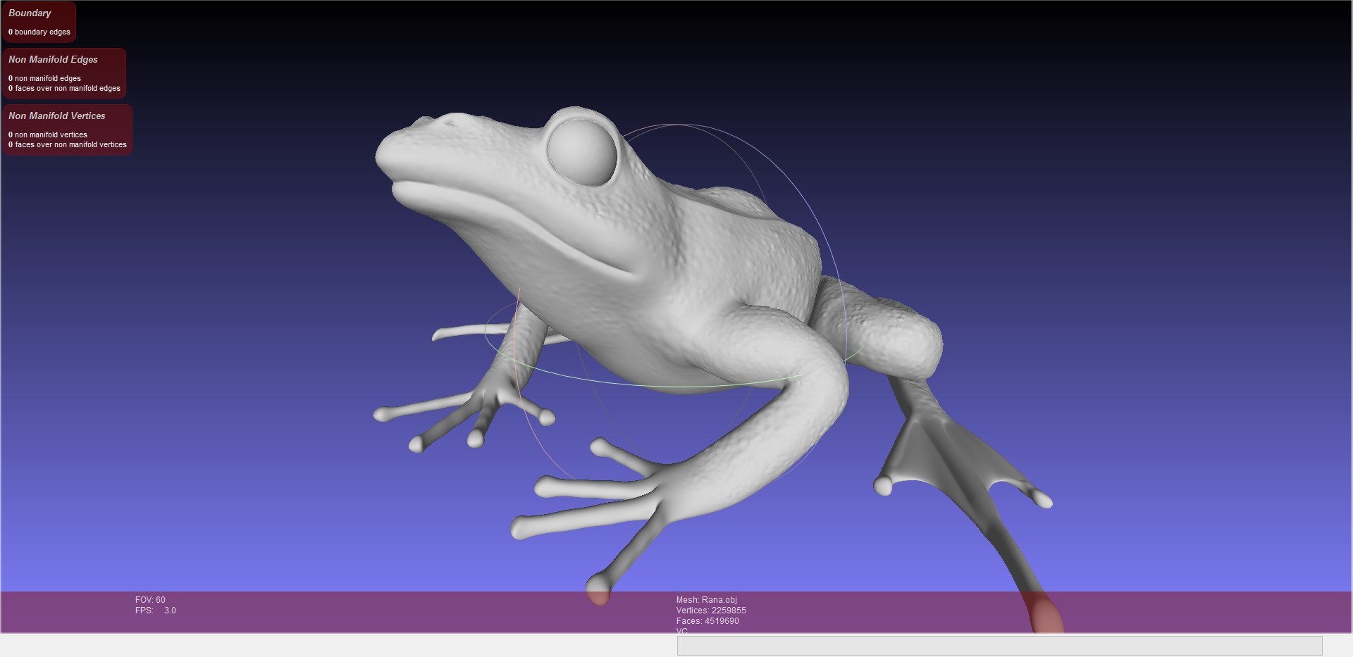 3d Model Rana Temporaria Frog