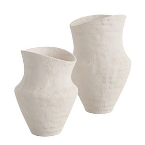 Vase Irregular Shape 3D model
