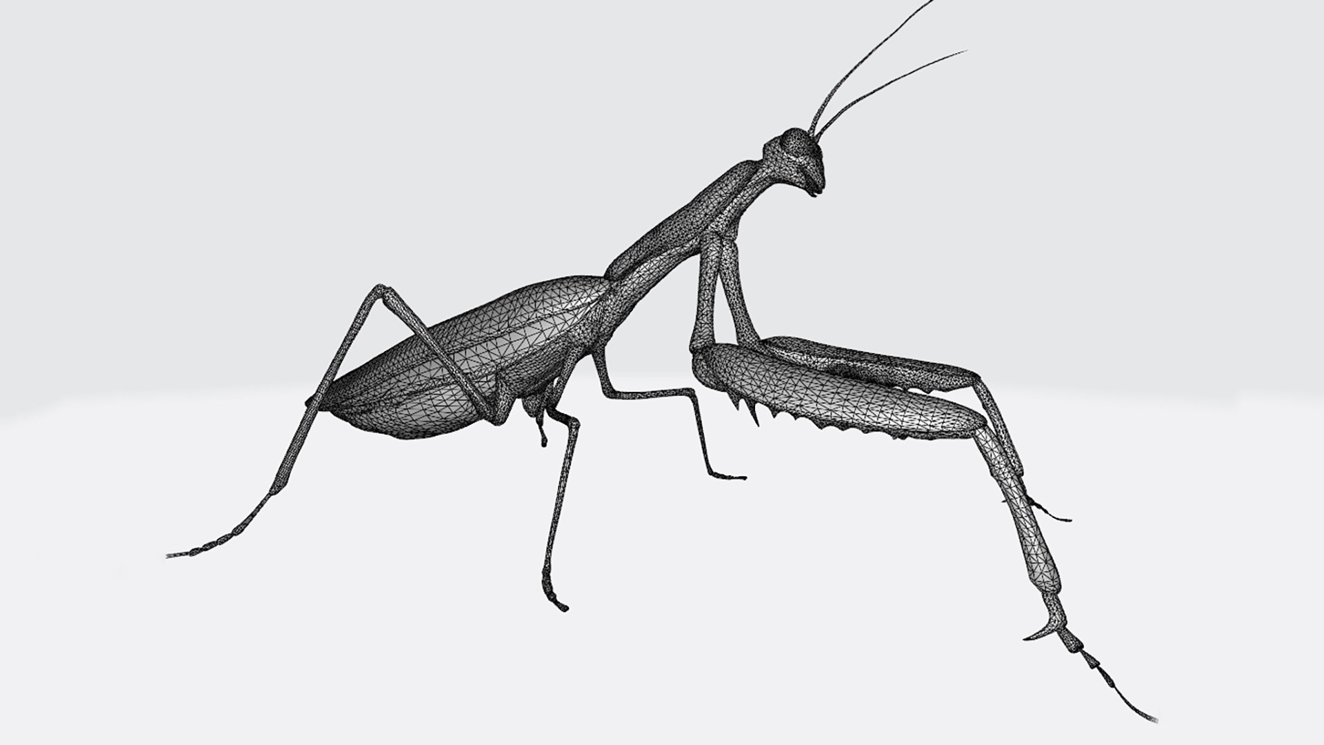 3D Praying Mantis Animal 3D Model Ready To Print - TurboSquid 2285244