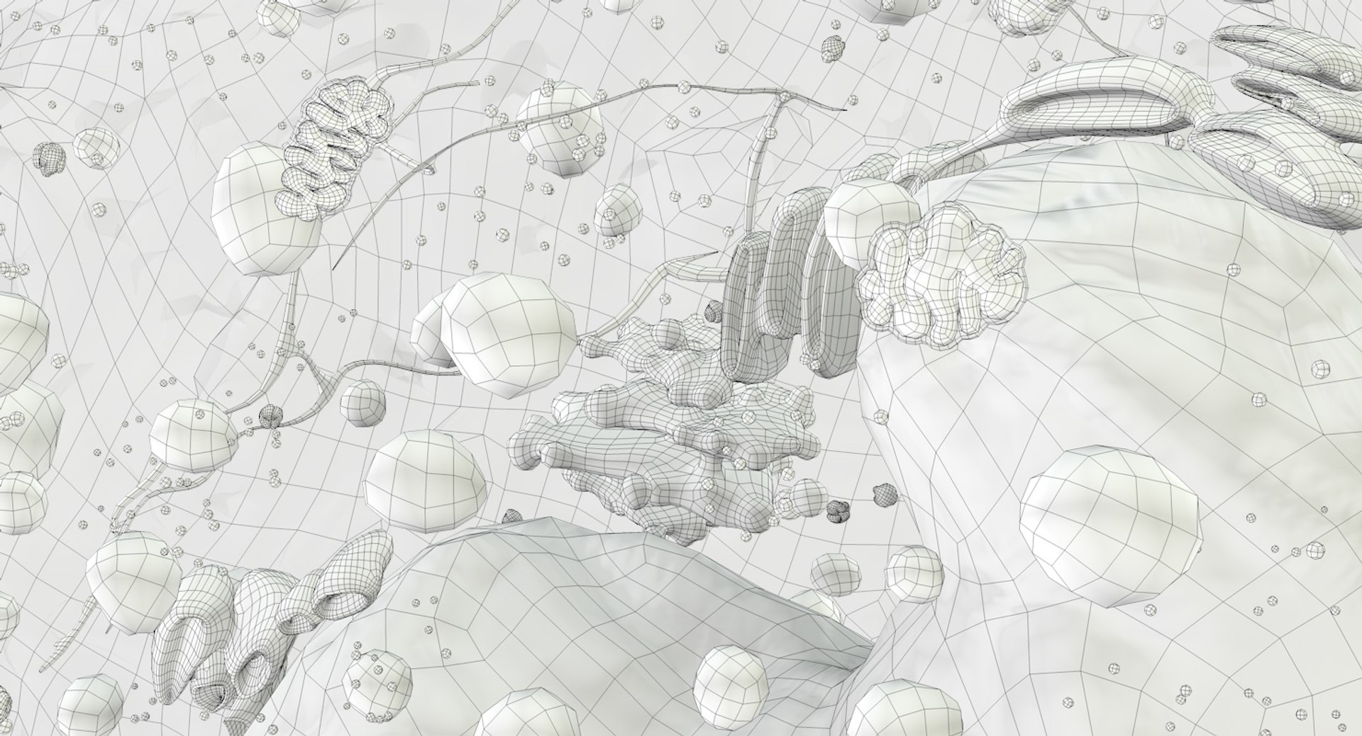 3D white blood cells basophil https://p.turbosquid.com/ts-thumb/9Q/jatk8p/4iSdbDoB/basophil_outline_07/jpg/1522063522/1920x1080/fit_q87/eb44a4b7fa8199349290e9305d52536844054d3d/basophil_outline_07.jpg