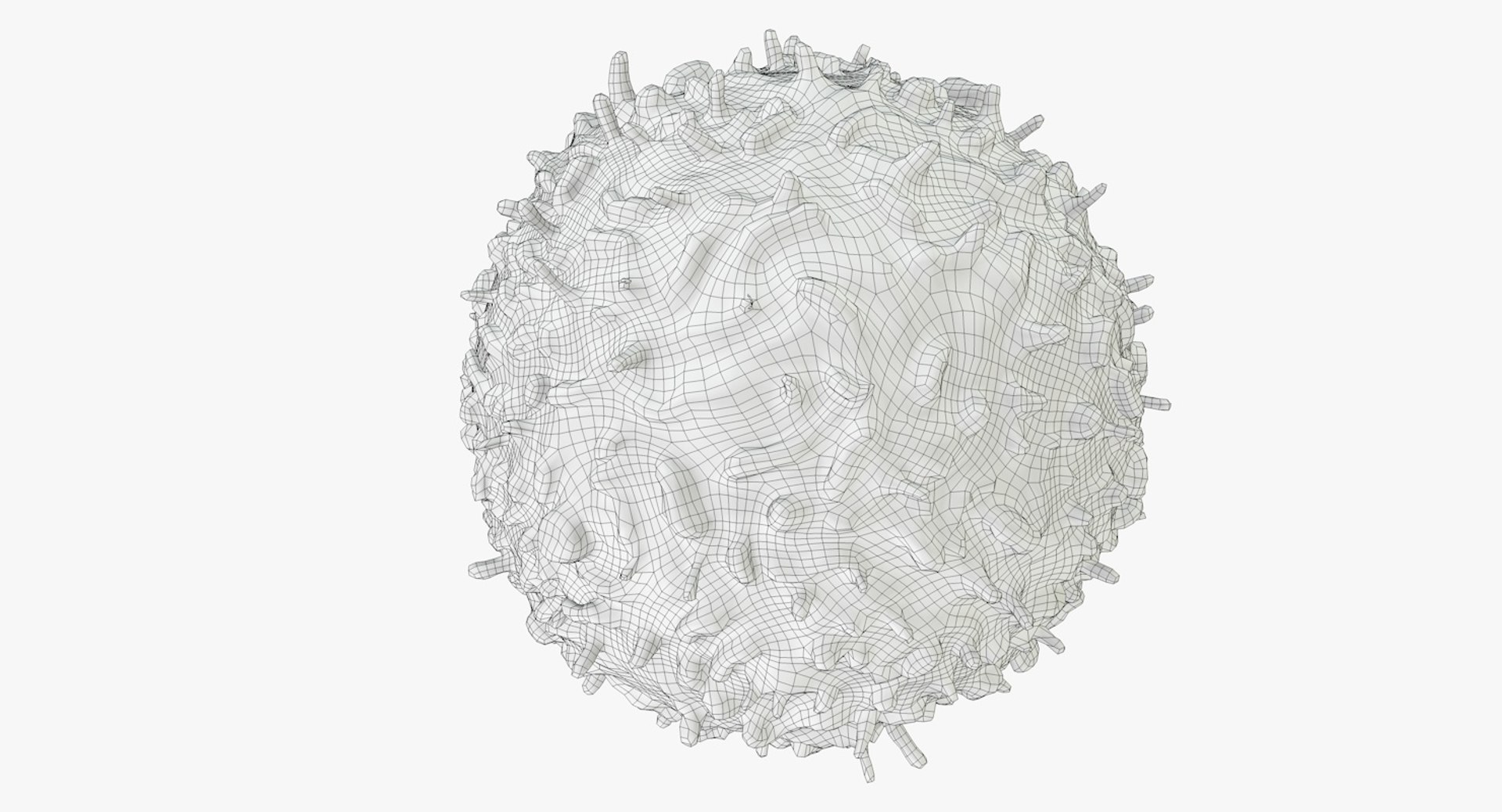 3D white blood cells basophil https://p.turbosquid.com/ts-thumb/9Q/jatk8p/5TToLFSV/basophil_body_0008/jpg/1550694518/1920x1080/fit_q87/398968f511a88dc6f4ab7ced665fd45998c0de35/basophil_body_0008.jpg