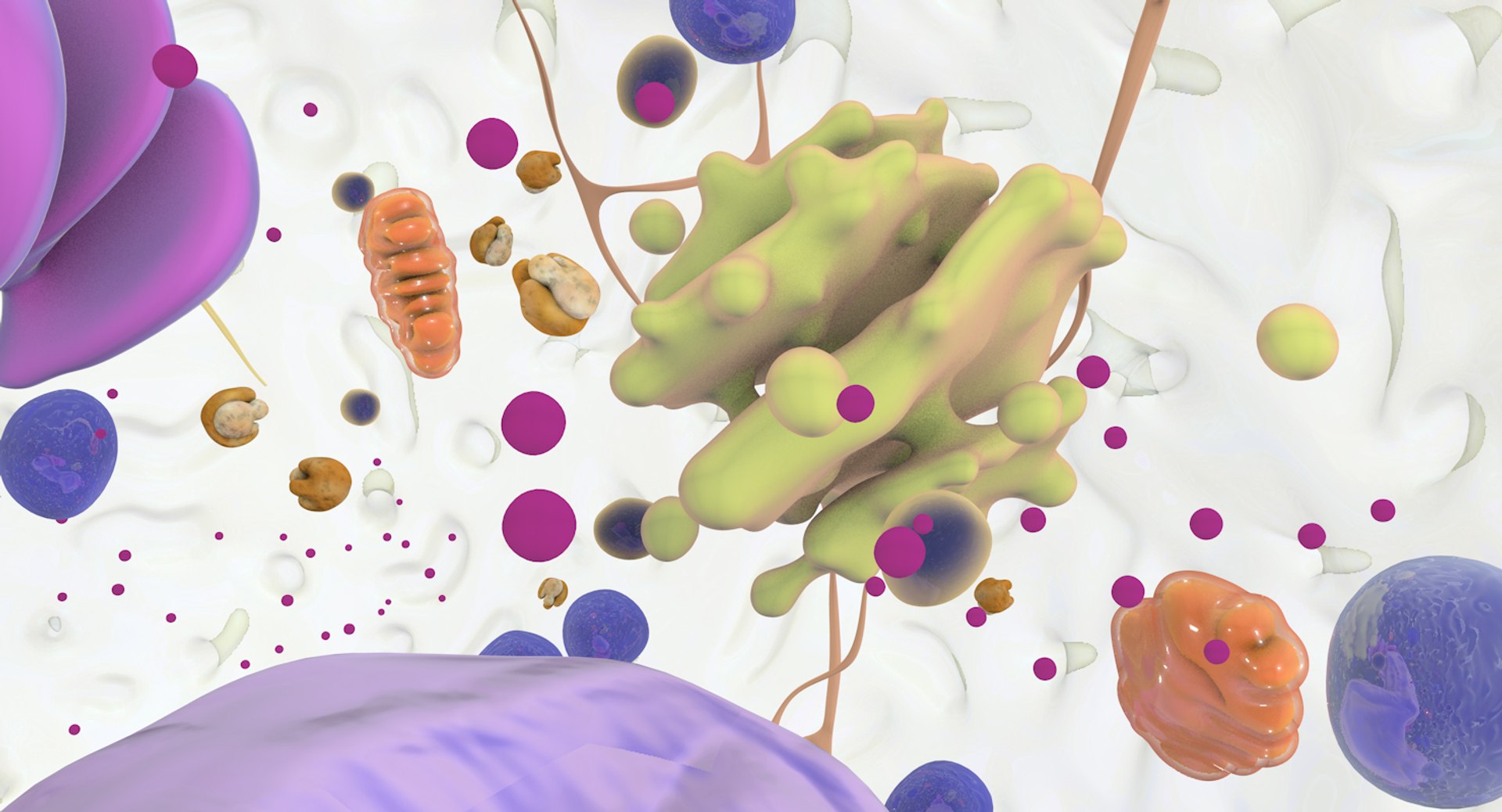 3D white blood cells basophil https://p.turbosquid.com/ts-thumb/9Q/jatk8p/AoOZr5os/basophil_13/jpg/1522011599/1920x1080/fit_q87/3c6365296a9038409faf2ba7a0092f7b53ef621f/basophil_13.jpg