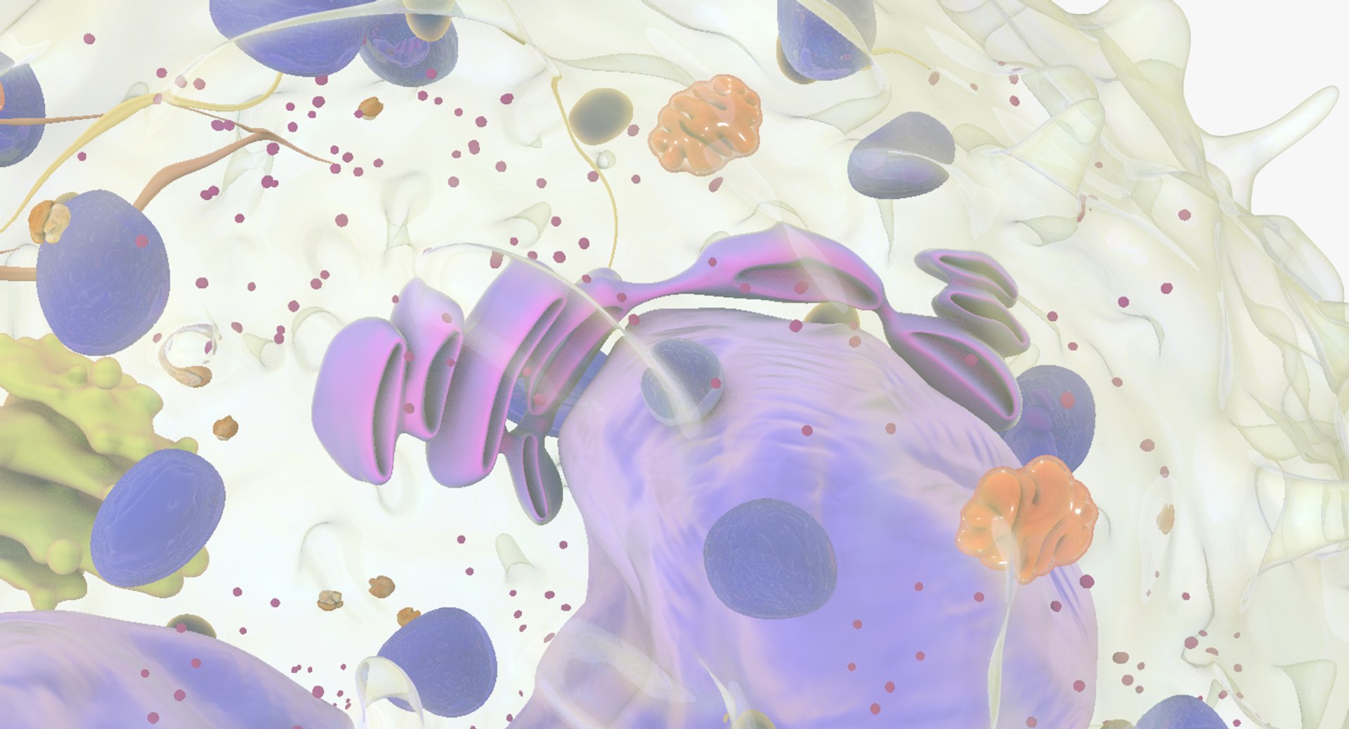 3D white blood cells basophil https://p.turbosquid.com/ts-thumb/9Q/jatk8p/E4bIh4Ln/basophil_11/jpg/1522011598/1920x1080/fit_q87/ca0b880d1808e31ef603b13d8769c61404a52934/basophil_11.jpg