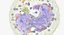 Basophil