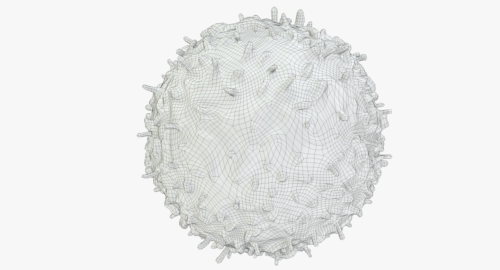 3D white blood cells basophil https://p.turbosquid.com/ts-thumb/9Q/jatk8p/RhGE21ZS/basophil_body_0010/jpg/1550694518/1920x1080/fit_q87/94698ff01aaeb6aaba035ef01cc82fdc4fef7ee2/basophil_body_0010.jpg