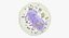 Basophil
