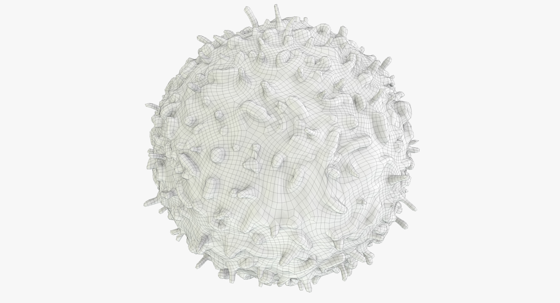 3D white blood cells basophil https://p.turbosquid.com/ts-thumb/9Q/jatk8p/jnFHe8c2/basophil_outline_body/jpg/1522011437/1920x1080/turn_fit_q99/4b19d1851ad16897cf2a5aeabf9599bea25f275f/basophil_outline_body-1.jpg
