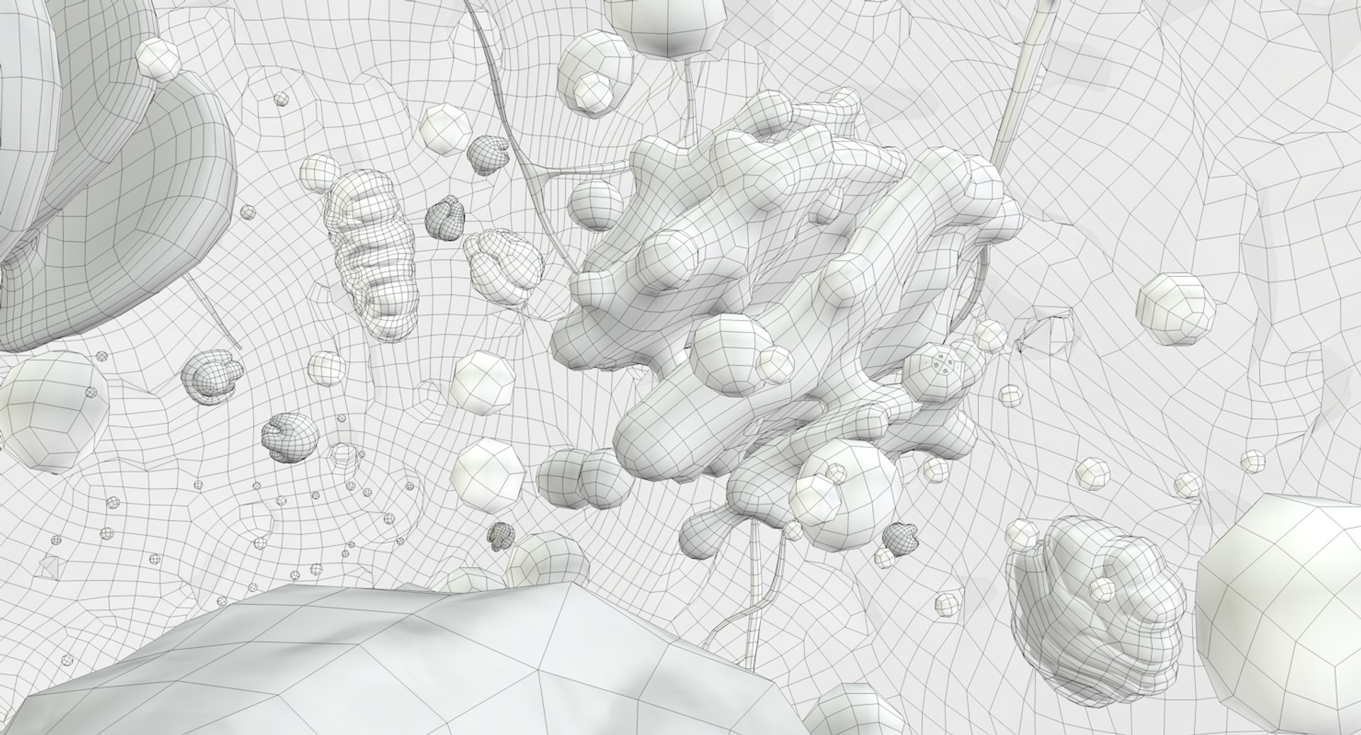 3D white blood cells basophil https://p.turbosquid.com/ts-thumb/9Q/jatk8p/p8RCqJFO/basophil_outline_12/jpg/1522063522/1920x1080/fit_q87/8d4fe575d1a9a66ed8d9322bf440d26453500f3b/basophil_outline_12.jpg