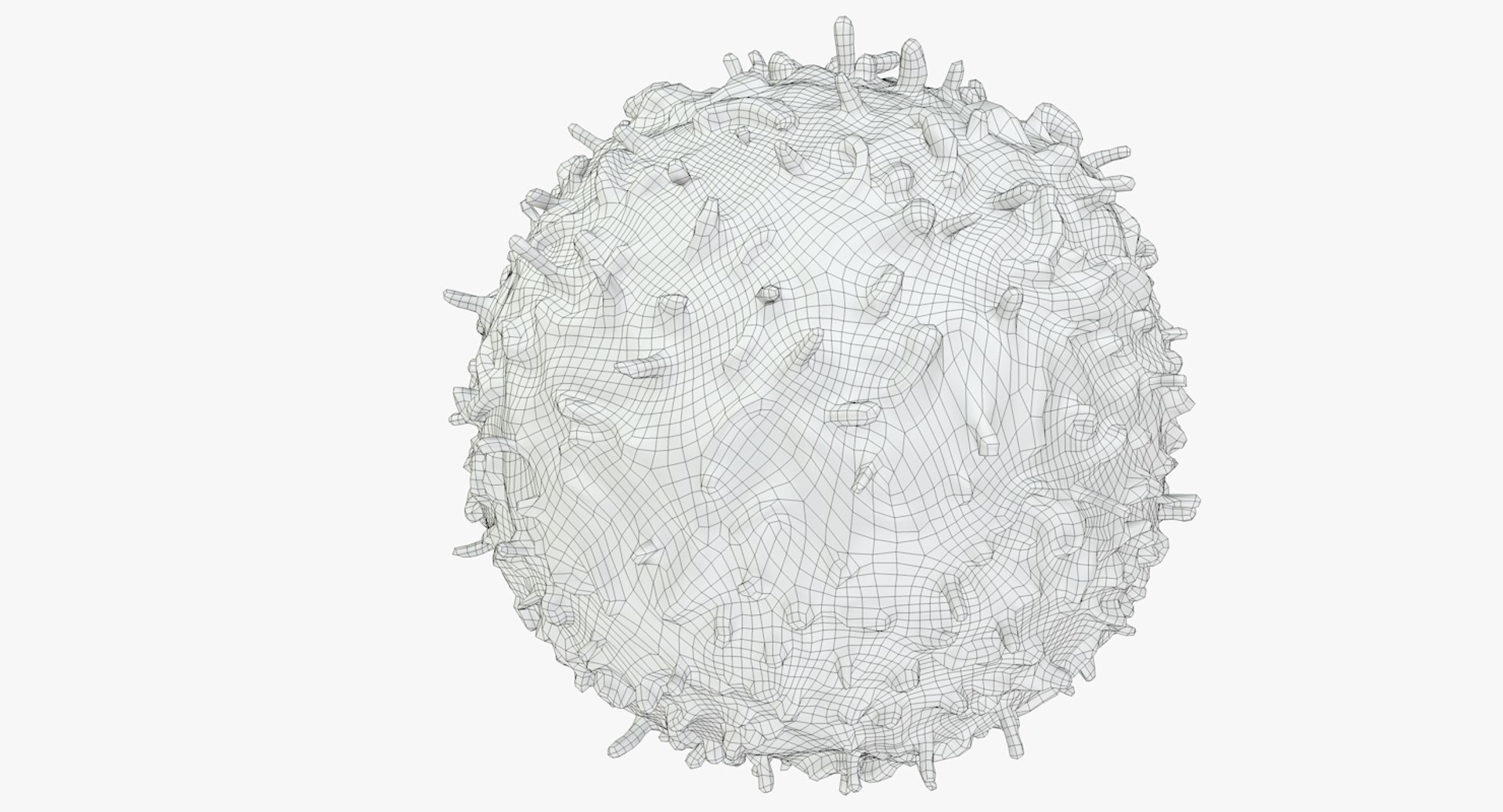 3D white blood cells basophil https://p.turbosquid.com/ts-thumb/9Q/jatk8p/pNM7we1O/basophil_body_0013/jpg/1550694518/1920x1080/fit_q87/e49d5cdc8975024da8f91827b7da807db3d7416c/basophil_body_0013.jpg