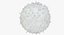 Basophil