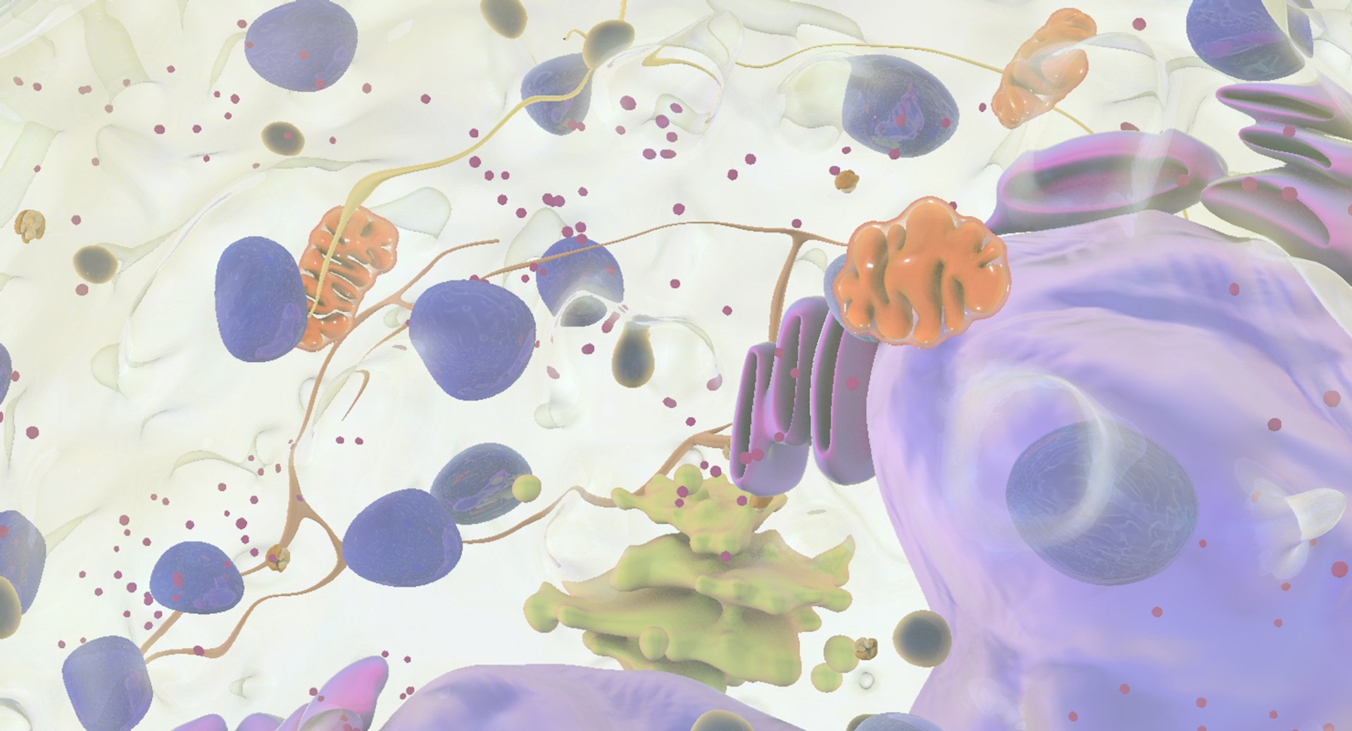 3D white blood cells basophil https://p.turbosquid.com/ts-thumb/9Q/jatk8p/sEUdq6l7/basophil_08/jpg/1522011598/1920x1080/fit_q87/e3b76fad68f6e6de6f69f313b11368bfed274a41/basophil_08.jpg