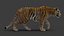 3D tiger 2 fur
