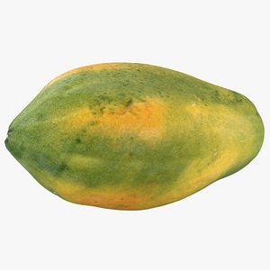 Papaya 3D model