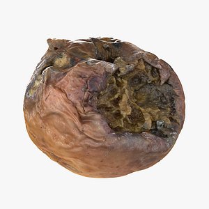 Rotten Decayed Apple
