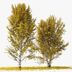 3D Fall Paper birch Trees