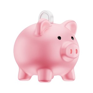 Coin Basic Pig Bank Icon 3D model