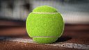 Tennis Ball
