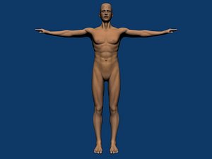 Human Male Body