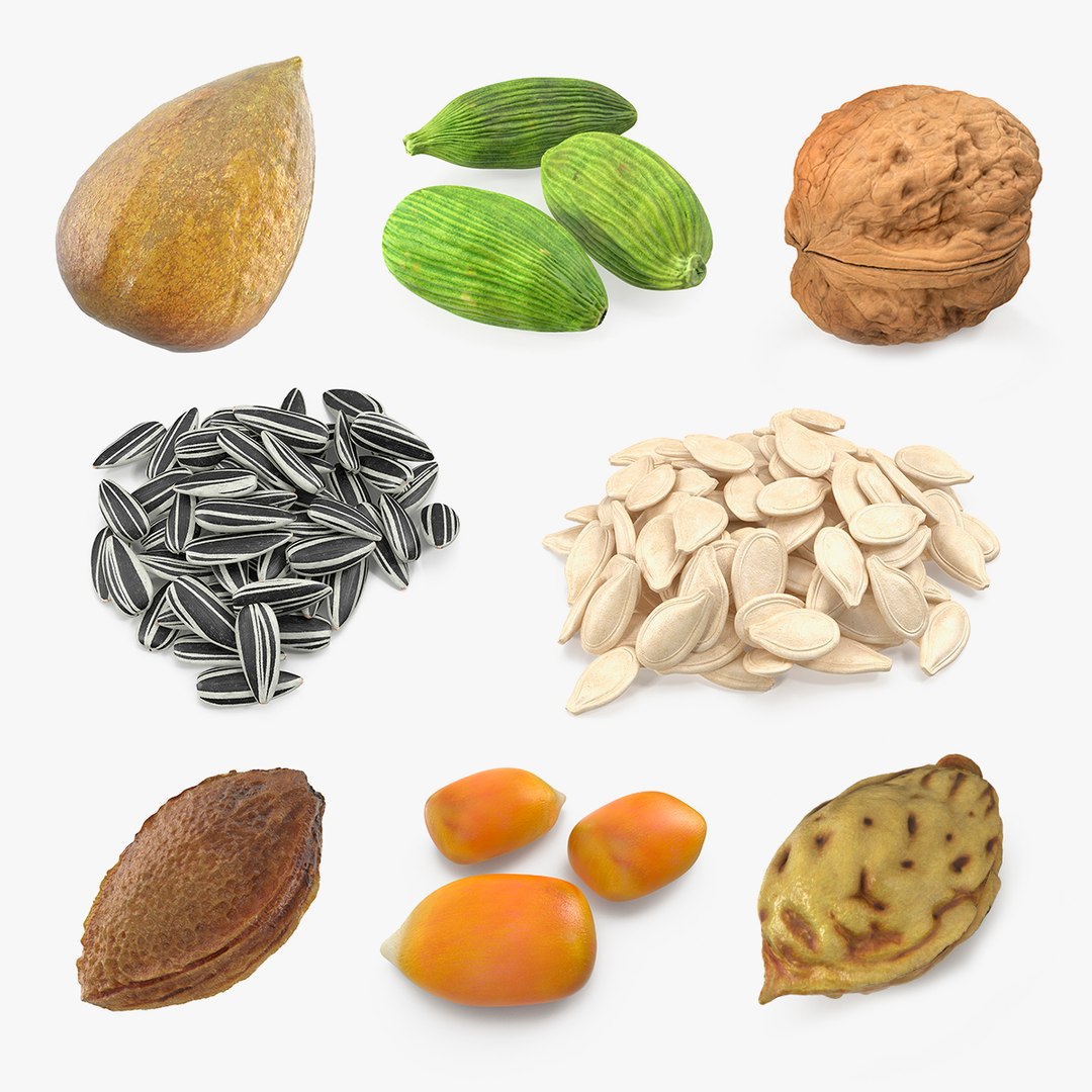 Seeds Collection 3 3D model preview