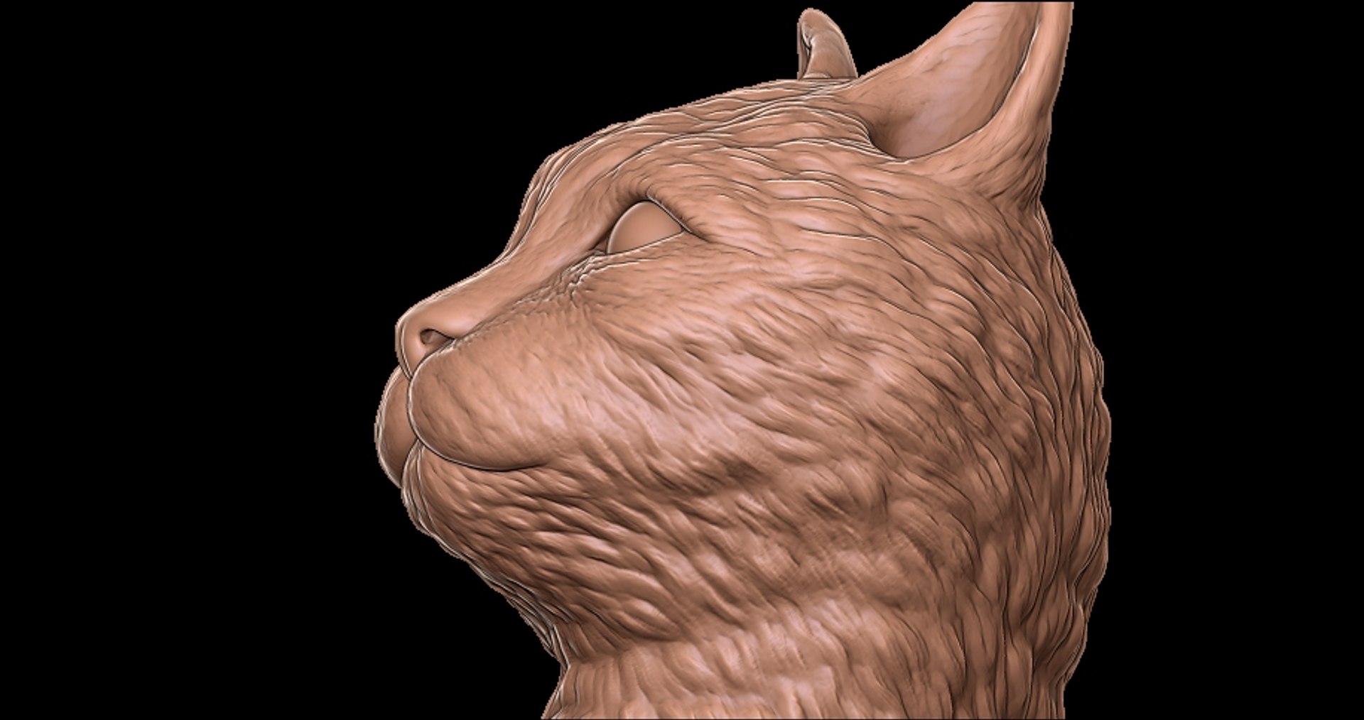 3D Gigachad Head model - TurboSquid 2031875